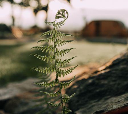 Majówka z Balią Gratis