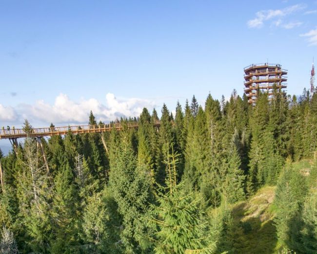 Atrakcje okolicy latem