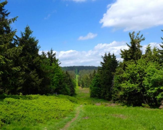 Atrakcje okolicy latem