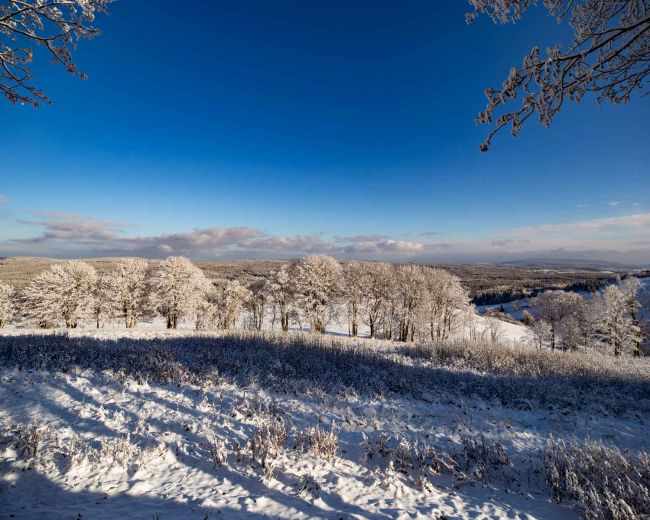Atrakcje okolicy zimą