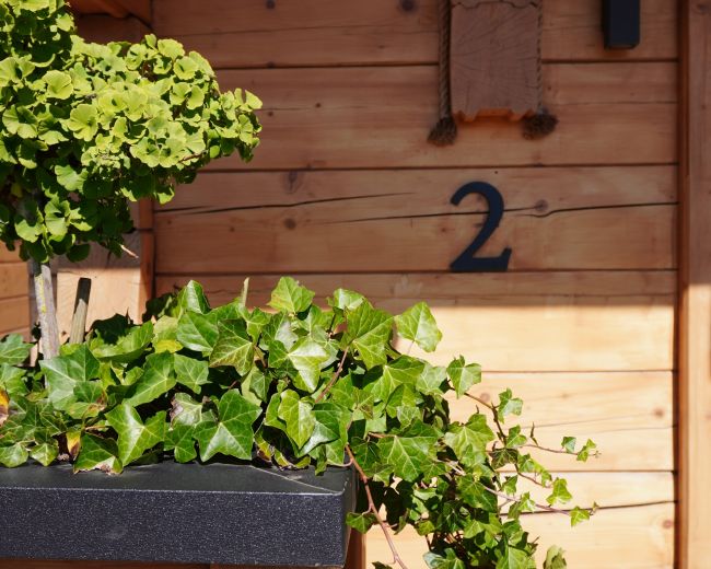 Osada Zieleniec latem